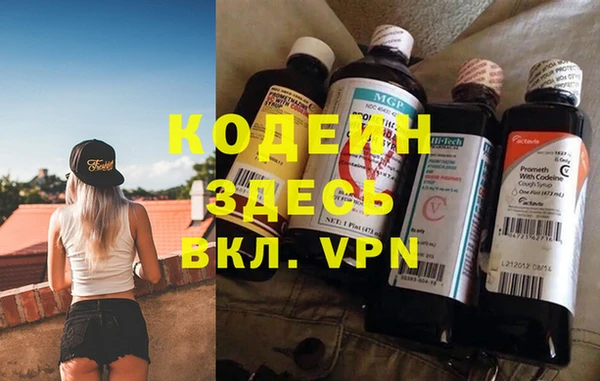 прущие грибы Наволоки