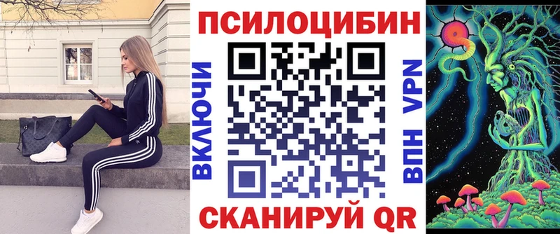 как найти закладки  Динская  Псилоцибиновые грибы Psilocybine cubensis 